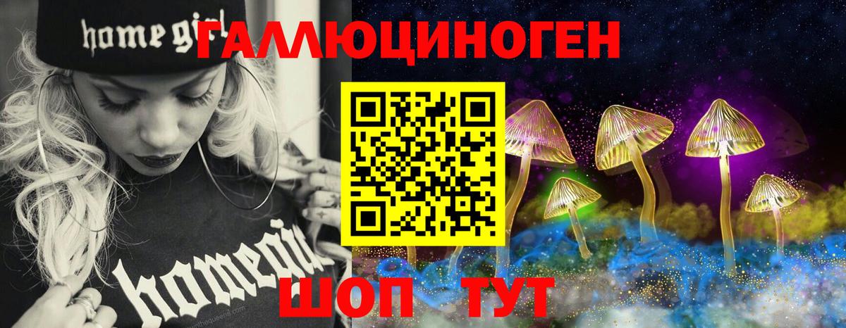 Псилоцибиновые грибы мицелий Великие Луки