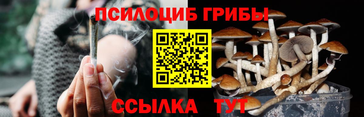 Великие Луки  Галлюциногенные грибы мицелий  Вход с VPN  Галлюциногенные грибы прущие грибы 